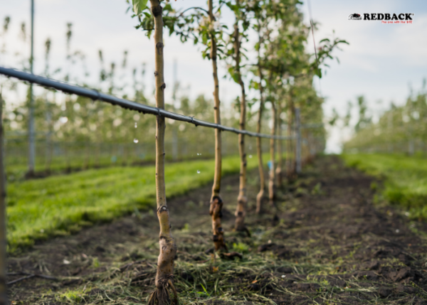 REDBACK Farm Machinery Customers Types Horticulture